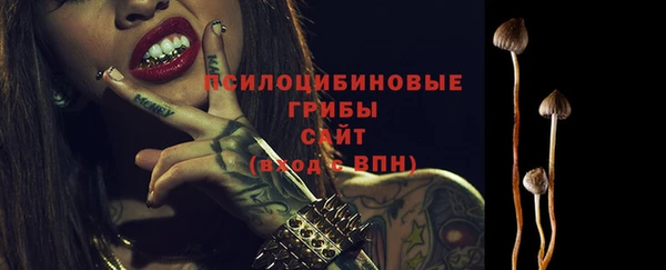 герыч Няндома