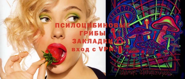 герыч Няндома