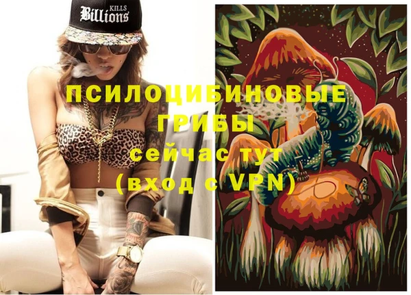 герыч Няндома