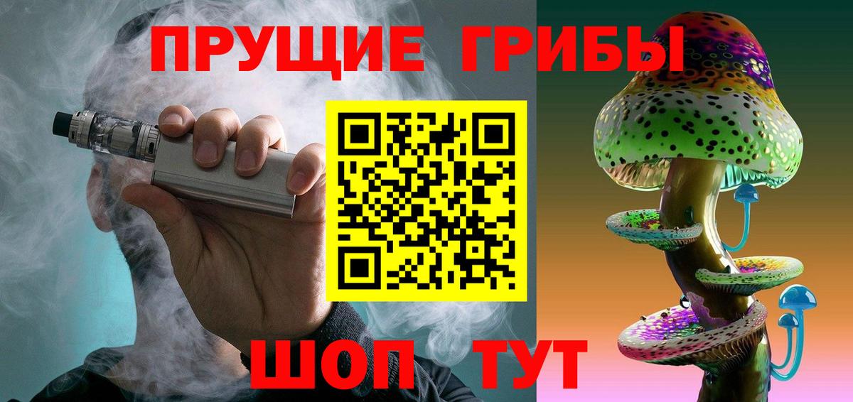 Галлюциногенные грибы Psilocybine cubensis Солнечногорск